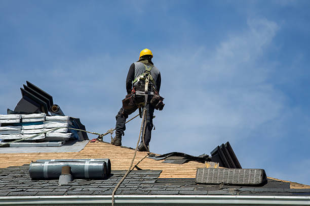 Professional Storm Damage Roof Repair technician working in Macclesfield, NC